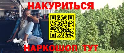 крисы Тверь