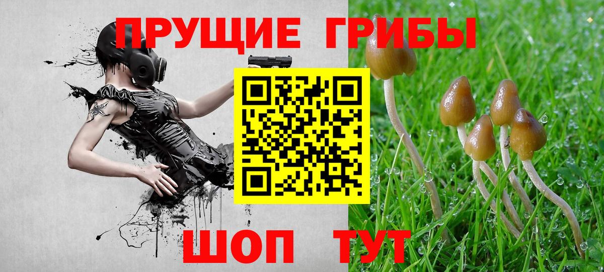 Отрадное  Псилоцибиновые грибы Psilocybine cubensis  магазин продажи наркотиков  Вход с VPN 