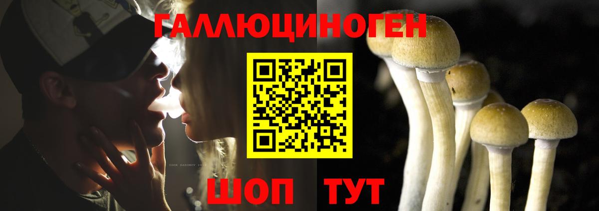 Псилоцибиновые грибы прущие грибы Отрадное