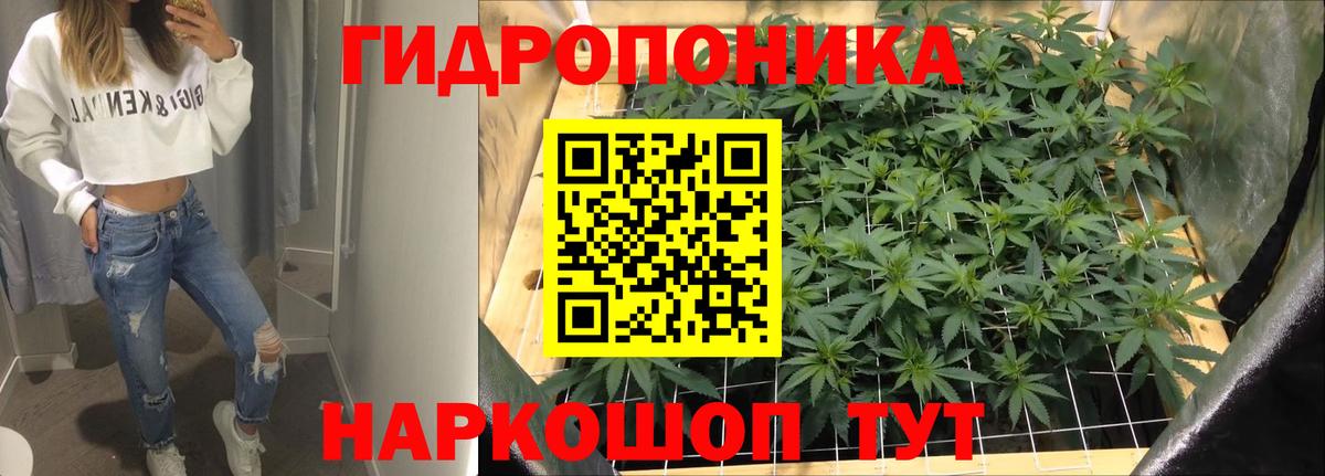 Шишки марихуана AK-47  Вход с VPN  Бошки марихуана Bruce Banner  Отрадное  Канабис тримм  Бошки марихуана сатива 